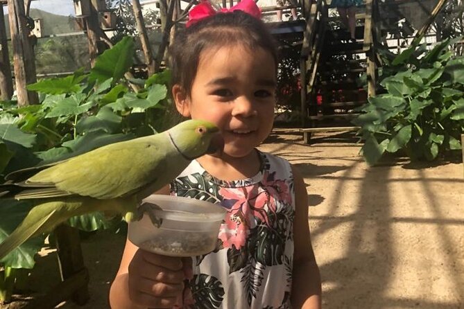 Colorful Species Of Birds - Feeding iguanas before the aviary