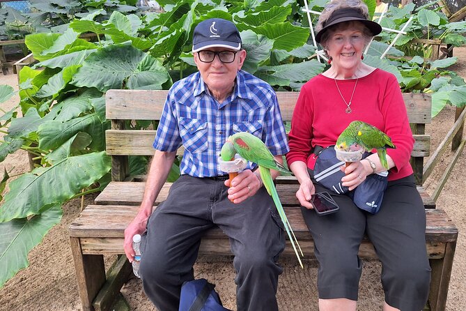 Colorful Species Of Birds - Who should book this St. Maarten excursion