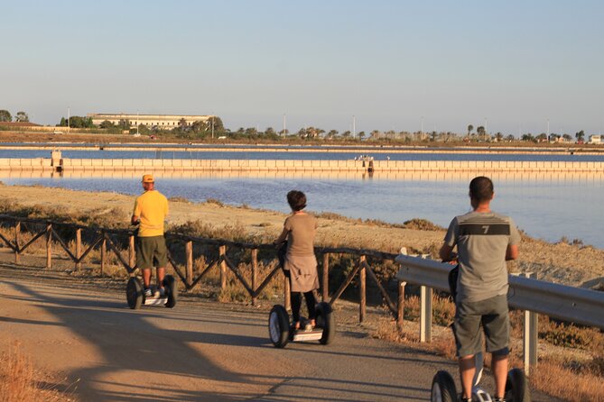 Combo: Cagliari Old Town and the Oasis of Flamingos - Flamingos at Molentargius Saline