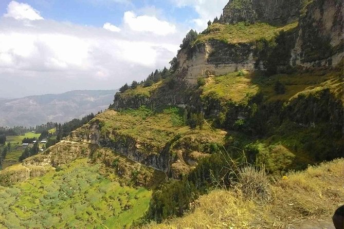 Day Trip From Addis Ababa See Historical Monastery,Stunning Nature,Animals,Birds - Geladas, vultures, and the Jemma Gorge
