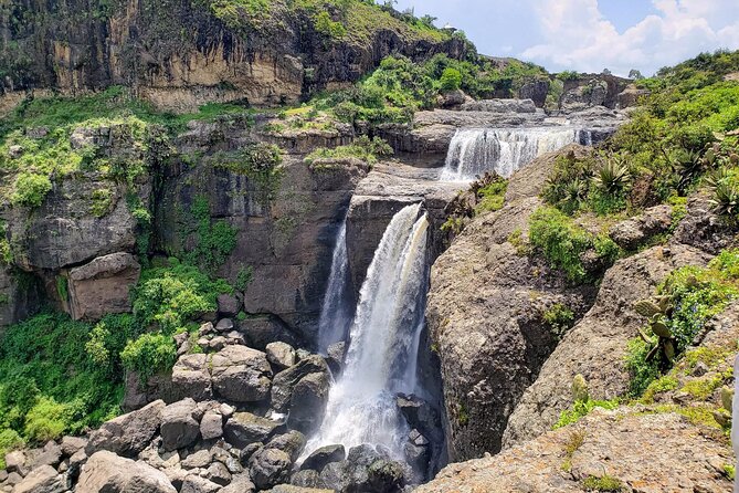 Day Trip From Addis Ababa See Historical Monastery,Stunning Nature,Animals,Birds - Ethiopian coffee and lunch in the countryside