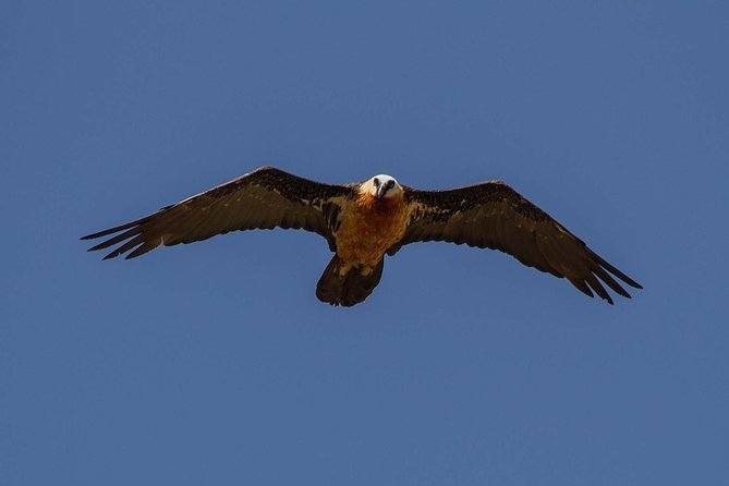Day Trip From Addis Ababa See Historical Monastery,Stunning Nature,Animals,Birds - Booking advice and final verdict