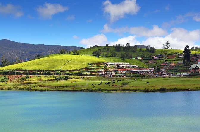 Day Trip to Nuwara Eliya with Kingfisher Tours - The long climb from Colombo to tea country