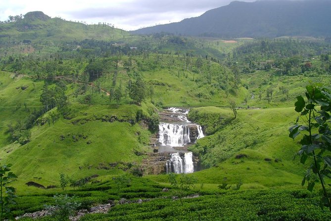 Day Trip to Nuwara Eliya with Kingfisher Tours - NGM Strawberry Farm and a lighter final stop