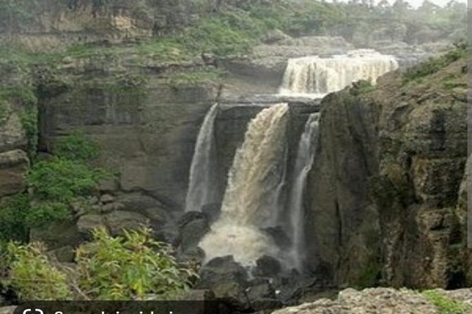 Day Trips from Addis Ababa See Monastery, Nature, Animals, Birds - Practical planning for the eight-hour outing