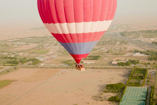 Deluxe Hot Air Balloon Ride with Breakfast & Flight Falcon Show - The falcon show, with a useful qualification