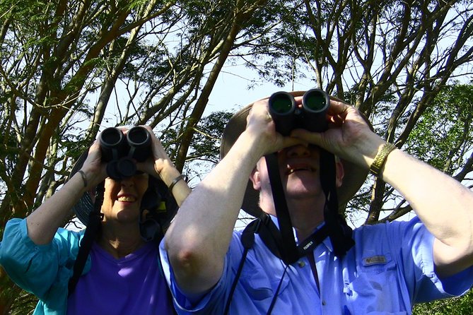 Desembocada and Ameca River Bird Paradise (Wetland and Tropical birds in PV) - What the guide adds to the experience