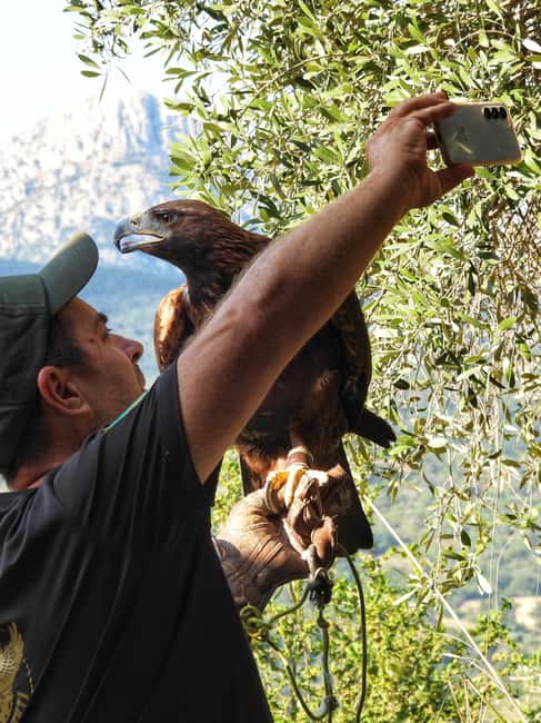Discover the fantastic world of birds of prey in the Pollino National Park. - What the three-hour visit is really about