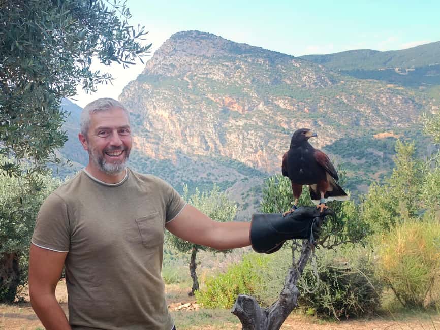 Discover the fantastic world of birds of prey in the Pollino National Park. - The value of UNESCO falconry