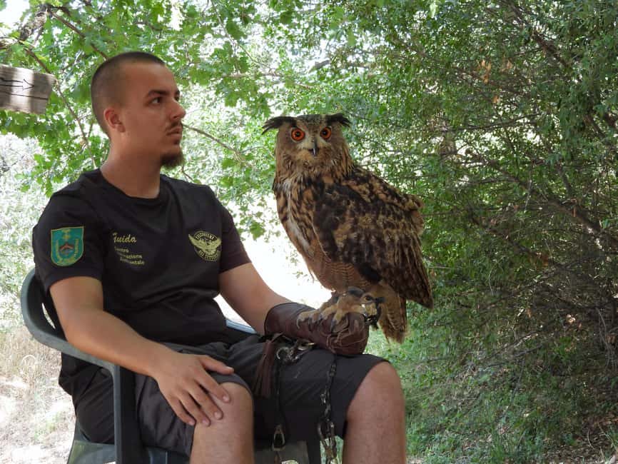 Discover the fantastic world of birds of prey in the Pollino National Park. - Close contact, quiet behavior, and useful limits
