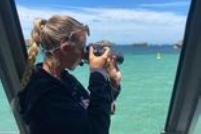 Dolphin, Sea Lion and Penguin Island Cruise - Is $43.03 a fair price?