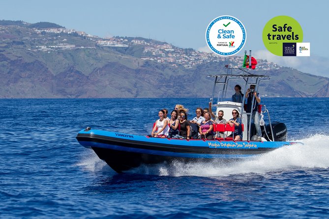 Dolphin - Whale - Turtle - Bird Watching - A fast start from Funchal Marina