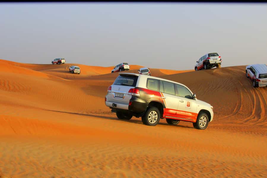 Dubai: Bedouin Camp, Dune Safari, Falcon Show & BBQ Dinner - A brief camel ride with a cultural purpose