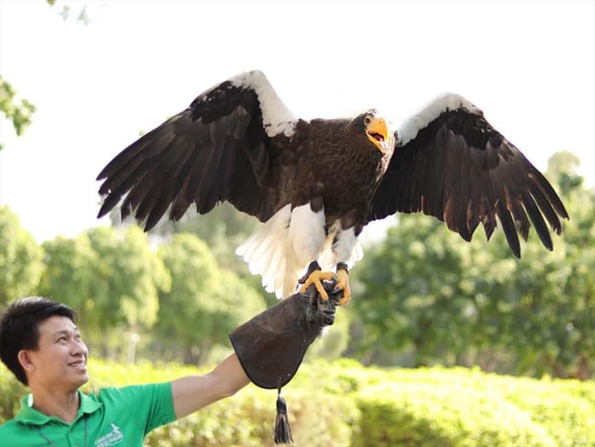 Dubai: Dubai Dolphinarium Dolphin, Seal & Bird Show Tickets - Adding the Exotic Bird Show