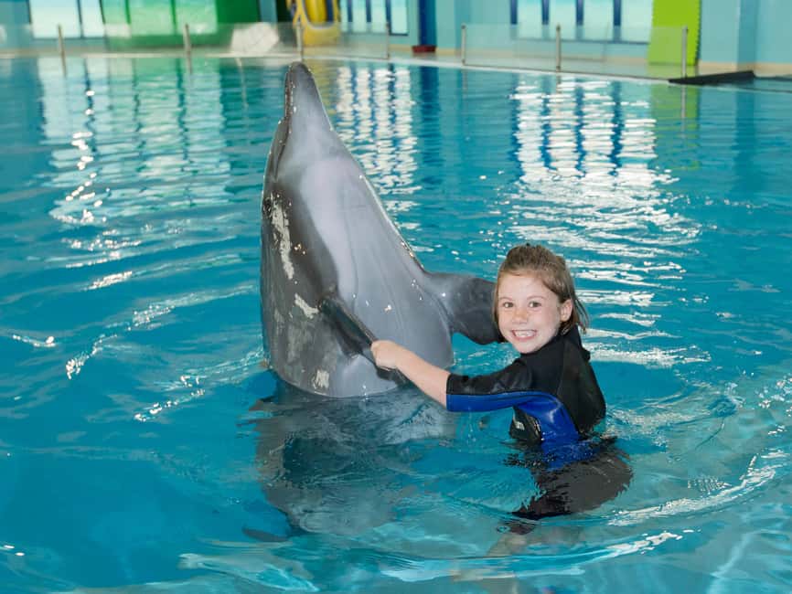 Dubai: Dubai Dolphinarium Dolphin, Seal & Bird Show Tickets - Who will enjoy this most