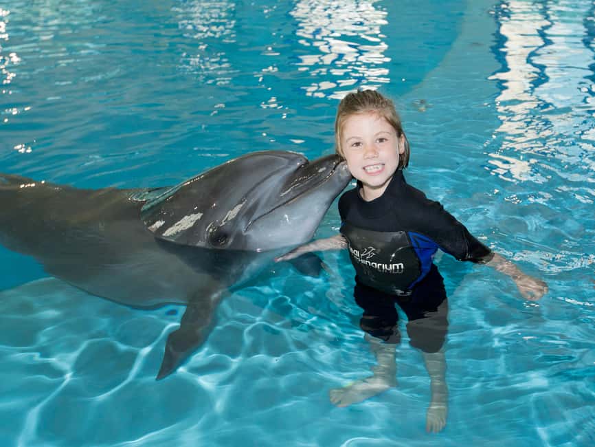 Dubai: Dubai Dolphinarium Dolphin, Seal & Bird Show Tickets - Practical tips for a smoother visit