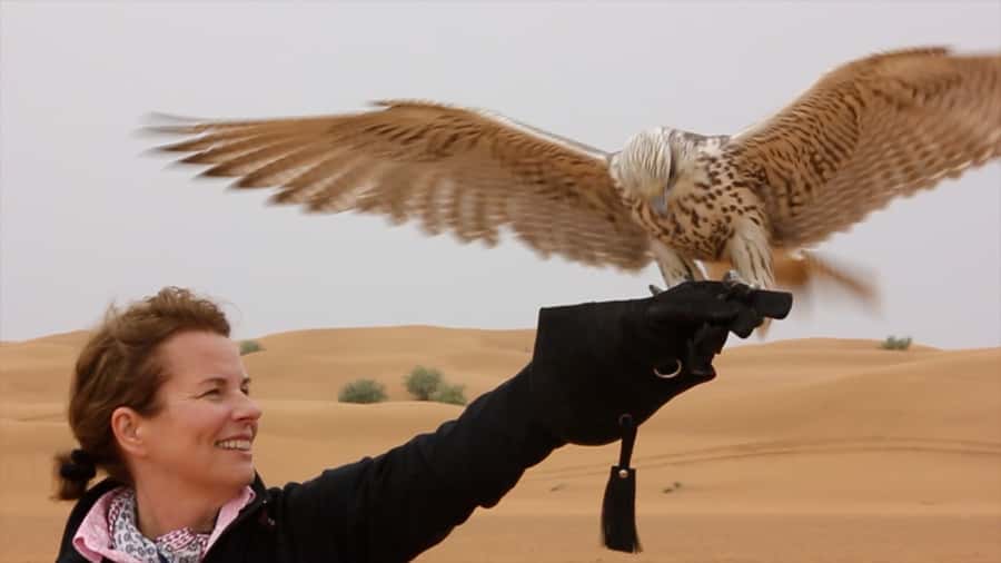 Dubai Falconry Safari - Why this falconry tour feels different from a desert safari
