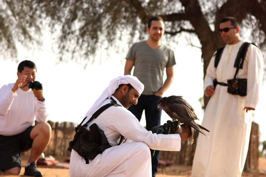 Dubai Falconry Safari - Wildlife before the falcons