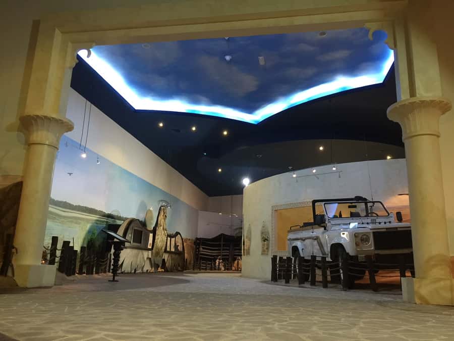 Dubai Falconry Safari - Coffee, dates, and the Emirati Falcon Hunting Camp