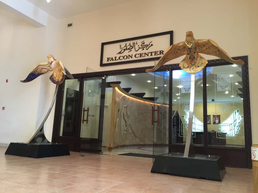 Dubai Falconry Safari - Watching a peregrine chase a drone