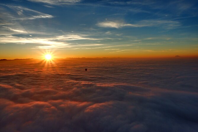 Dubai Hot Air Balloon Ride with Breakfast, Falconry & Camel Ride - Who will enjoy this morning most
