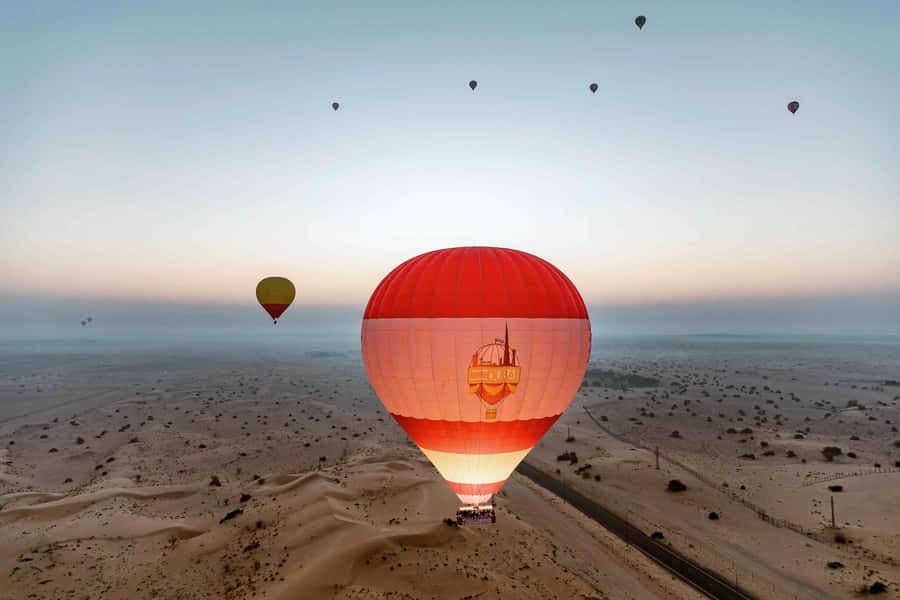 Dubai: Hot Air Balloon Ride with Camel Ride & Falcon Show - Desert wildlife from above