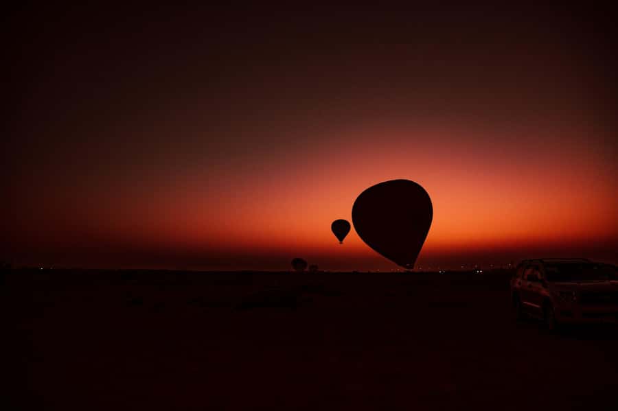 Dubai: Hot Air Balloon Ride with Camel Ride & Falcon Show - Camel and horse rides after the balloon