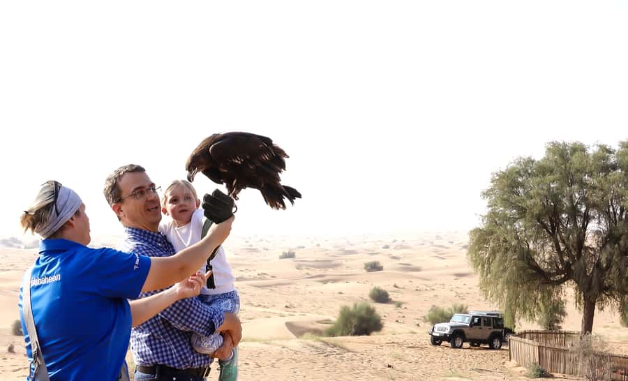 Dubai: Private Falconry Safari - A falconry morning instead of a standard desert safari