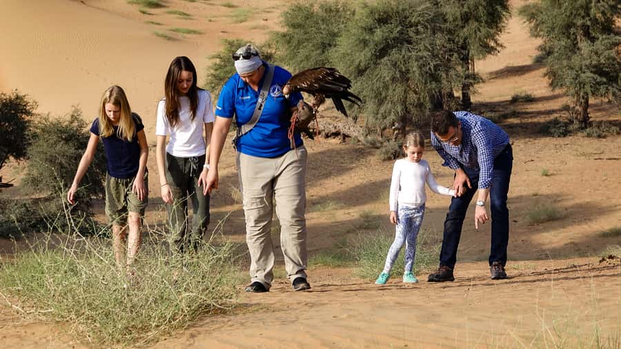 Dubai: Private Falconry Safari - Searching for oryx, gazelles, and the houbara bustard