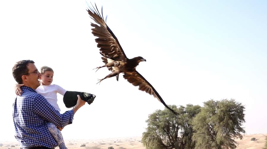 Dubai: Private Falconry Safari - From your Dubai hotel to the conservation reserve