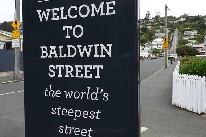 Dunedin City Highlights, Otago Peninsula Scenery & a Guided Penguin Reserve Tour - Key points at a glance