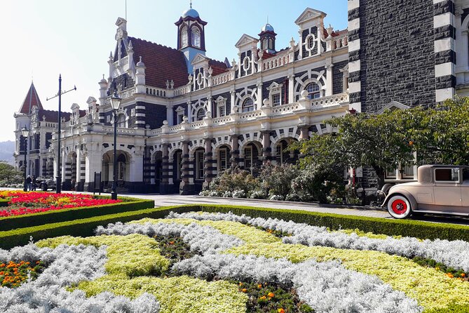 Dunedin City Highlights, Otago Peninsula Scenery & a Guided Penguin Reserve Tour - Dunedin’s architecture comes between the stops