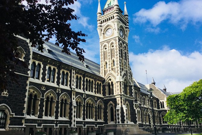 Dunedin City Highlights, Otago Peninsula Scenery & Albatross Guided Tour - How the six-hour schedule feels