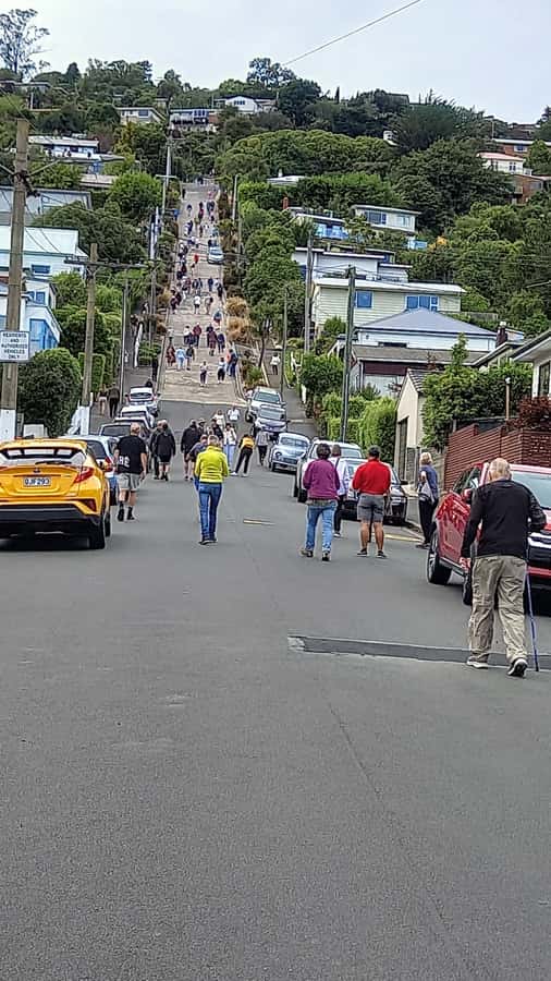 Dunedin: Otago Peninsula with Guided Penguin Reserve Tour - Highcliff Road is the scenic heart of the drive