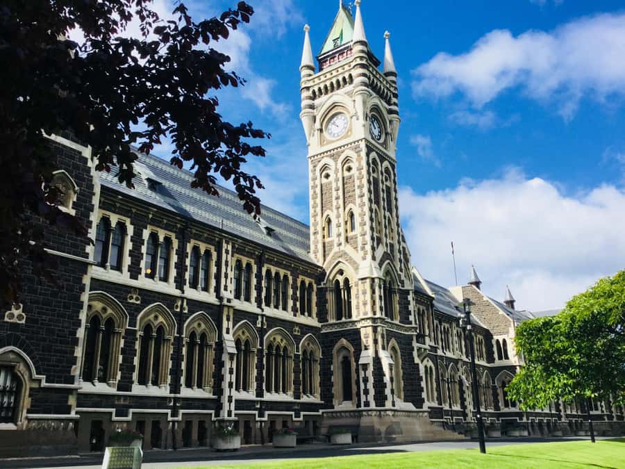 Dunedin: Otago Peninsula with Guided Penguin Reserve Tour - Food, walking, and what to bring