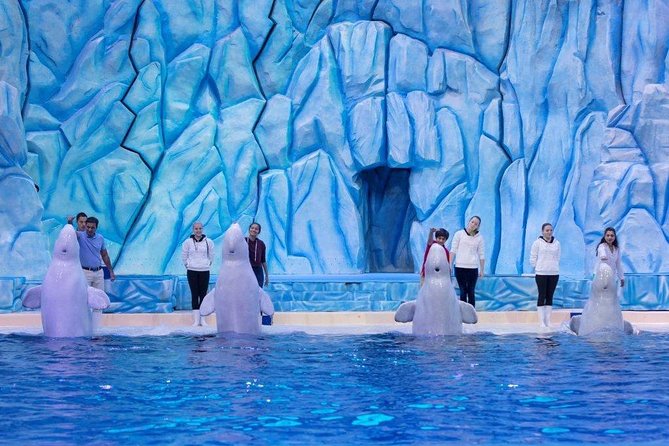 E-Ticket: Zhuhai Chimelong Ocean Kingdom, Circus & Penguin Hotel 1-night Coupon - Key points at a glance