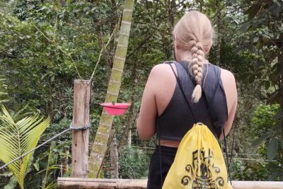 Easy Birdwatching in Cali Colombia (4 Hours)