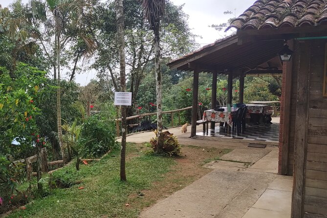 Easy Birdwatching in Cali Colombia (4 Hours) - Coffee, cool air, and a short farm visit