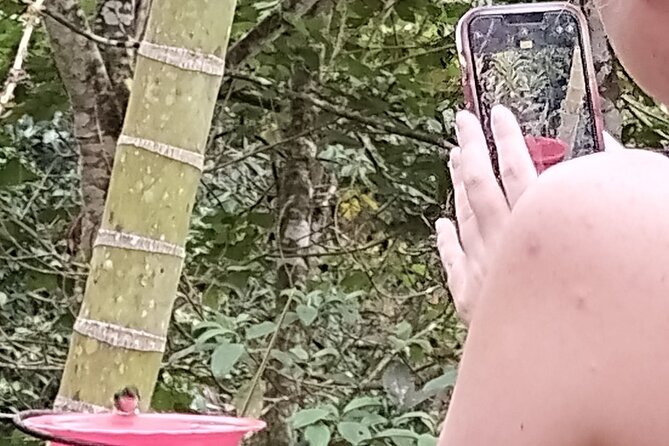 Easy Birdwatching in Cali Colombia (4 Hours) - Who should book this experience?