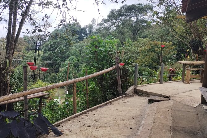 Easy Birdwatching in Cali Colombia (4 Hours) - Booking, weather, and cancellation details