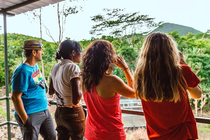 Ebony Forest Reserve Chamarel: Endemic Birdwatching Guided Tour - Key points to know