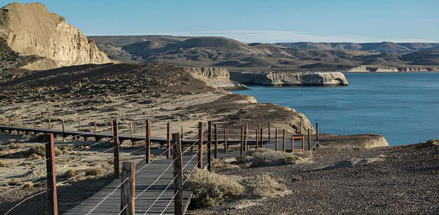 El Calafate: Monte León 4x4 Wolves and Penguins Excursion - Key points to know before booking