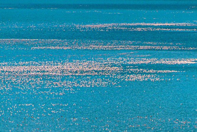 Escape to Lake Bogoria, Flamingo's new home for an overnight safari - Leaving Nairobi at 7:00 am