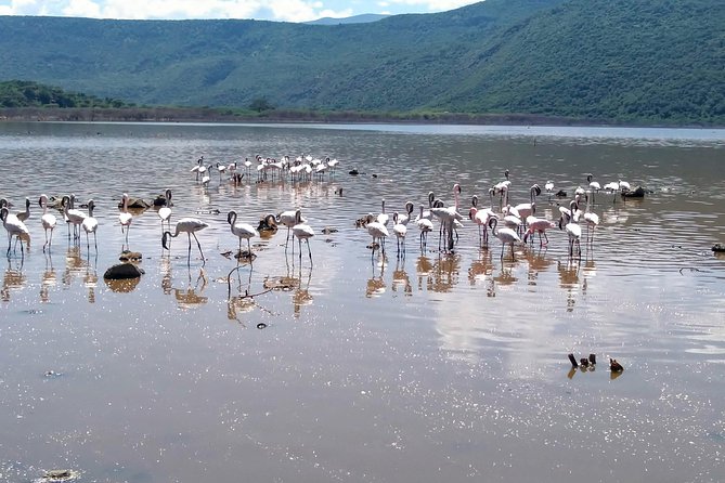Escape to Lake Bogoria, Flamingo's new home for an overnight safari - What the Private Setup Changes