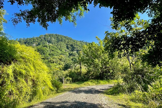 Esquipulas Rainforest - Private Birding - Fully Customizable Tour - Why this private Quepos birding tour is worth considering