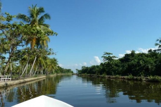 Exclusive: Muthurajawela Bird Watching Tour with Transfers - Why Muthurajawela Marsh is worth your morning
