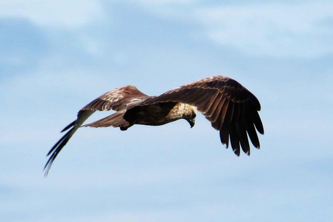 Exclusive: Muthurajawela Bird Watching Tour with Transfers - Entering the wetland by boat