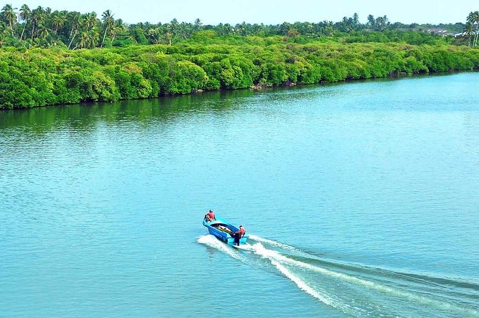 Exclusive: Muthurajawela Bird Watching Tour with Transfers - The guide adds meaning to a simple boat trip