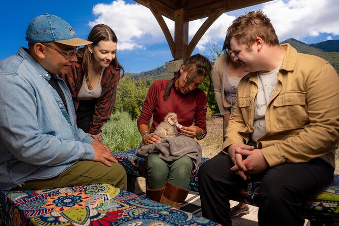 Experience Raptors and Falconry in Reno - Meeting the Raptors at Deerlodge Road