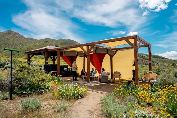 Experience Raptors and Falconry in Reno - Holding an Owl, Falcon, and Hawk